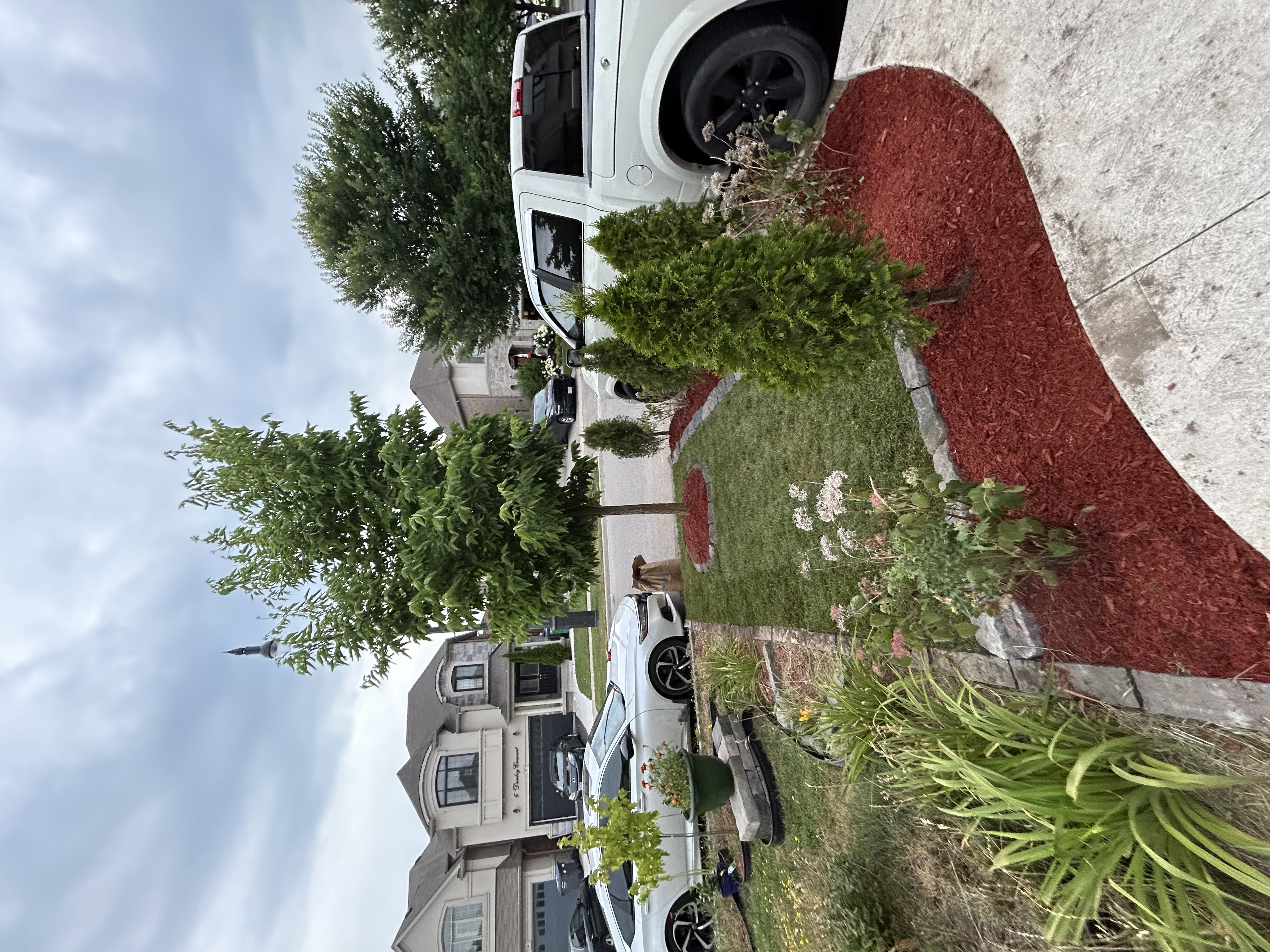 Landscaping with Mulch