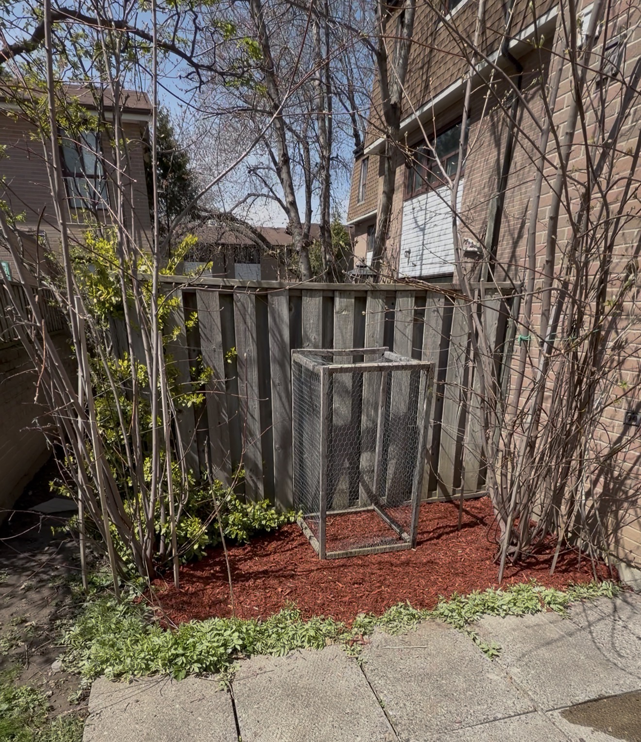 Backyard Project