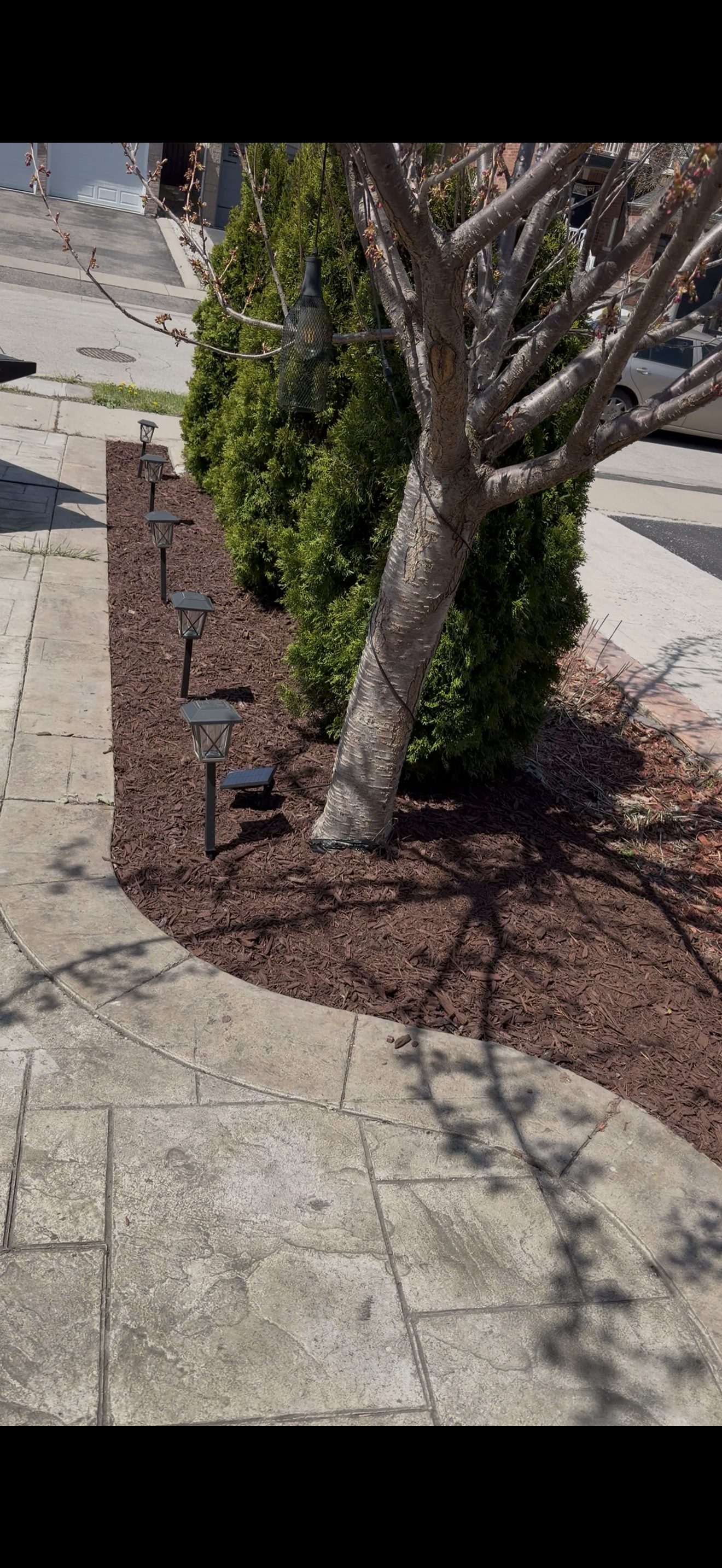 Garden Bed